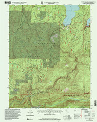 Cherry Lake South 2001 topographic map thumbnail