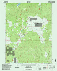 Champs Flat 1995 topographic map thumbnail