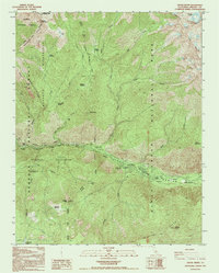 Cedar Grove 1992 topographic map thumbnail