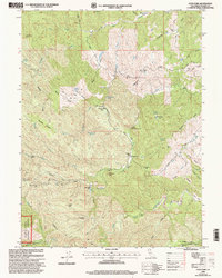 Cold Fork 1998 topographic map thumbnail