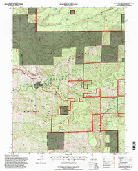Barkley Mountain 1995 topographic map thumbnail