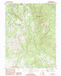 Bangor 1994 topographic map thumbnail