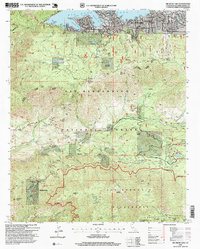 Big Bear Lake 1996 topographic map thumbnail