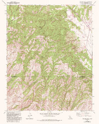 Cholame Hills 1961 topographic map thumbnail