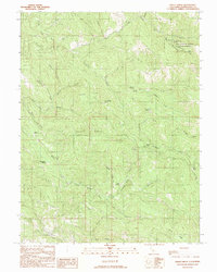 Bailey Ridge 1991 topographic map thumbnail