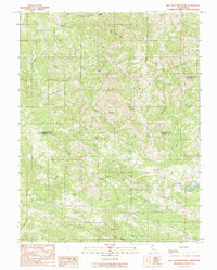 Big Foot Mountain 1991 topographic map thumbnail