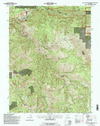 Blue Nose Mountain 1994 topographic map thumbnail