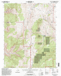 Blanco Mountain 1994 topographic map thumbnail