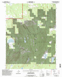 Bullard Lake 1995 topographic map thumbnail