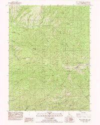 Bully Choop Mtn topographic map thumbnail
