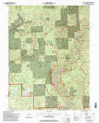 Brush Creek 1994 topographic map thumbnail