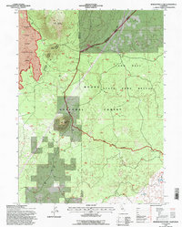 Border Mountain 1993 topographic map thumbnail