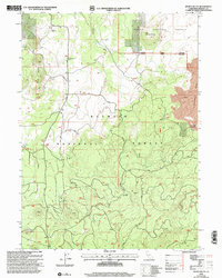 Bonita Butte 2001 topographic map thumbnail