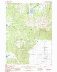 Holbrook Canyon 1990 topographic map preview