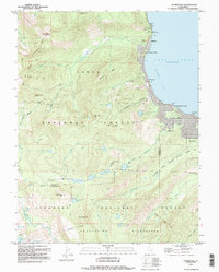 Homewood 1992 topographic map thumbnail