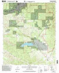 Idyllwild 1996 topographic map thumbnail