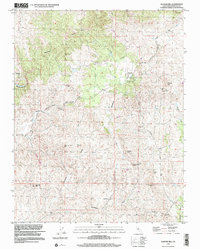 Illinois Hill 1999 topographic map thumbnail