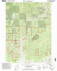 Indian Creek Baldy 2001 topographic map thumbnail