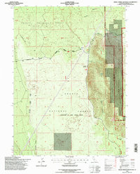 Indian Spring Mountain 1995 topographic map thumbnail