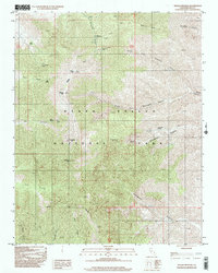 Telescope Peak 1998 topographic map thumbnail