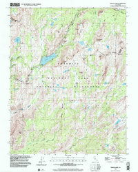 Tenaya Lake 1997 topographic map thumbnail