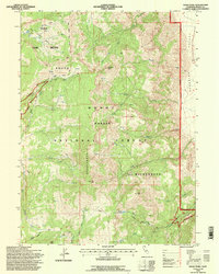 Eagle Peak 1993 topographic map thumbnail