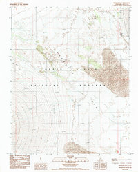 Mesquite Flat 1988 topographic map thumbnail