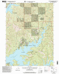 Minnesota Mountain 1998 topographic map thumbnail