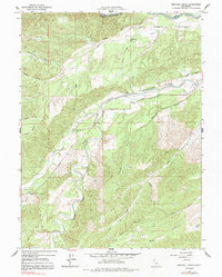 Mitchell Gulch 1965 topographic map thumbnail