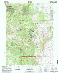 Mount Bidwell 1993 topographic map thumbnail