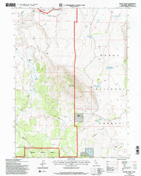Mount Dome 1993 topographic map thumbnail