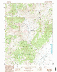 Mount Jackson 1989 topographic map preview