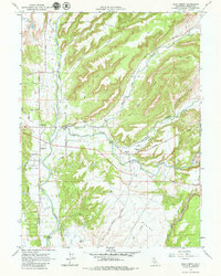 Palo Cedro 1965 topographic map thumbnail