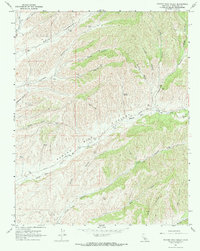 Pancho Rico Valley 1967 topographic map thumbnail
