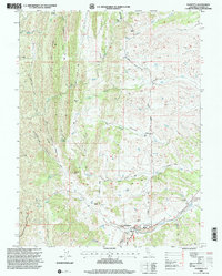 Paskenta 1995 topographic map thumbnail
