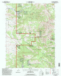 Payne Peak 1993 topographic map thumbnail