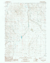 Petes Valley 1989 topographic map preview
