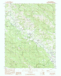 Philo 1991 topographic map thumbnail