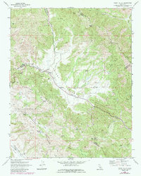 Priest Valley 1969 topographic map thumbnail
