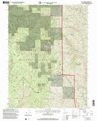 Riley Ridge 1995 topographic map thumbnail