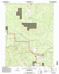 Roop Mountain 1995 topographic map thumbnail