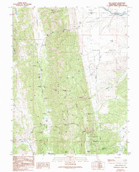 Salt Canyon 1989 topographic map thumbnail