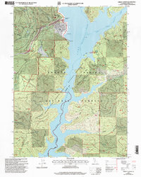 Trinity Center 1998 topographic map thumbnail