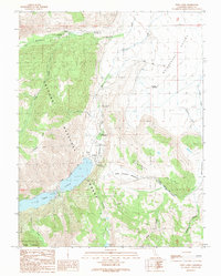 Twin Lakes 1990 topographic map preview