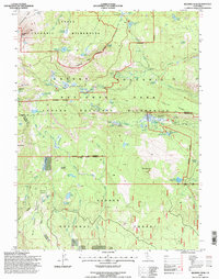 Reading Peak 1995 topographic map thumbnail