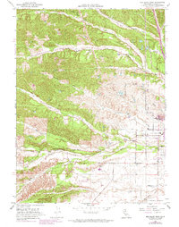 Red Bluff West 1951 topographic map thumbnail