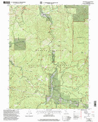 Wildwood 1998 topographic map thumbnail