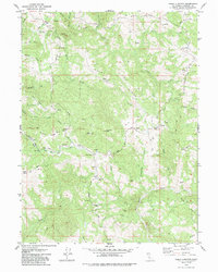 Yager Junction 1979 topographic map thumbnail