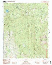 General Grant Grove 1993 topographic map thumbnail