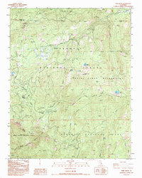 Muir Grove 1993 topographic map thumbnail